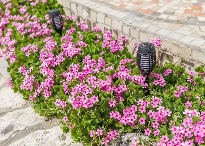 Acquila By Interhome * אומאג