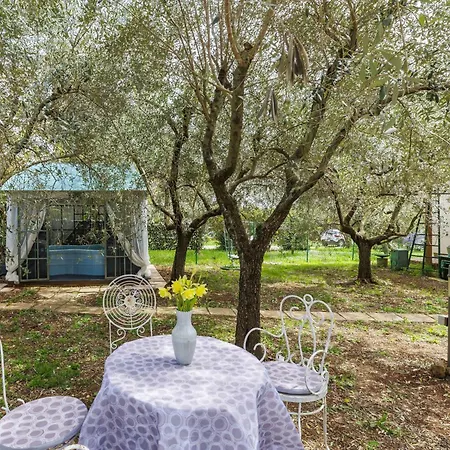 Acquila By Interhome Umag